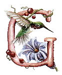 oiseaux94839344834-7.gif