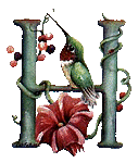 oiseaux94839344834-8.gif