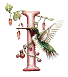 oiseaux94839344834-9.gif