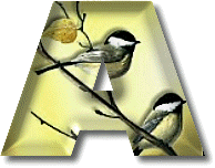 oiseaux954905490-1.gif