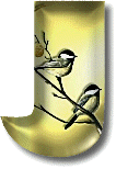 oiseaux954905490-10.gif