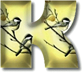 oiseaux954905490-11.gif