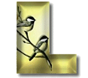 oiseaux954905490-12.gif