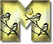 oiseaux954905490-13.gif