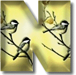 oiseaux954905490-14.gif