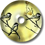 oiseaux954905490-15.gif
