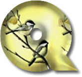 oiseaux954905490-17.gif