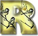 oiseaux954905490-18.gif