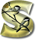 oiseaux954905490-19.gif