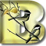 oiseaux954905490-2.gif
