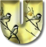 oiseaux954905490-21.gif