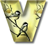 oiseaux954905490-22.gif