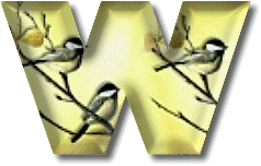 oiseaux954905490-23.gif