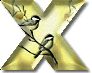 oiseaux954905490-24.gif