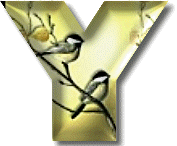 oiseaux954905490-25.gif