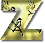 oiseaux954905490-26.gif