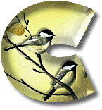 oiseaux954905490-3.gif