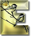 oiseaux954905490-5.gif