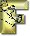 oiseaux954905490-6.gif