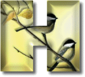 oiseaux954905490-8.gif