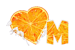 orange-443-13.gif