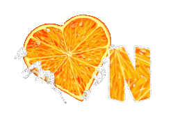 orange-443-14.gif