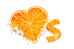 orange-443-19.gif