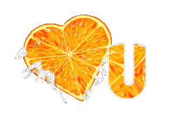 orange-443-21.gif
