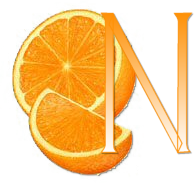 orange-667677-14.png