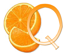 orange-667677-17.png