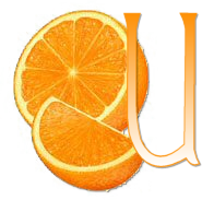 orange-667677-21.png