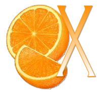 orange-667677-24.png