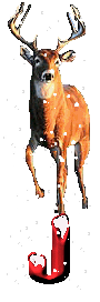 orignal-0000-10.gif
