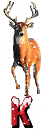 orignal-0000-11.gif