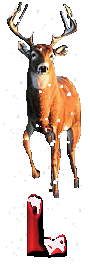 orignal-0000-12.gif