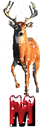 orignal-0000-13.gif