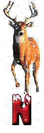 orignal-0000-14.gif