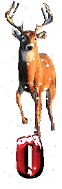 orignal-0000-15.gif