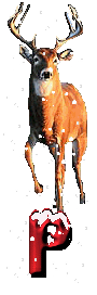 orignal-0000-16.gif