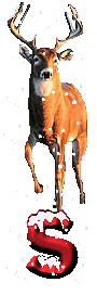 orignal-0000-19.gif
