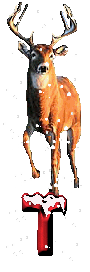 orignal-0000-20.gif