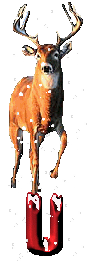 orignal-0000-21.gif