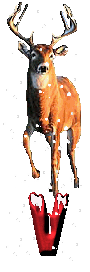 orignal-0000-22.gif