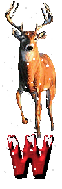 orignal-0000-23.gif