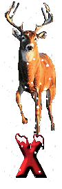 orignal-0000-24.gif