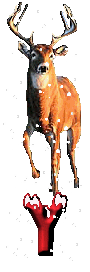 orignal-0000-25.gif