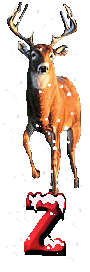 orignal-0000-26.gif