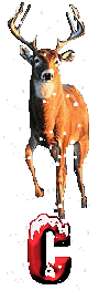 orignal-0000-3.gif