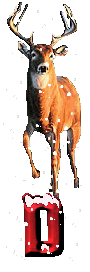 orignal-0000-4.gif