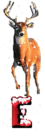 orignal-0000-5.gif